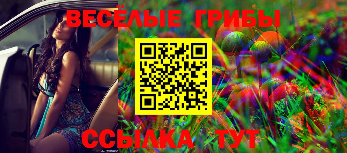 Галлюциногенные грибы Cubensis Мытищи
