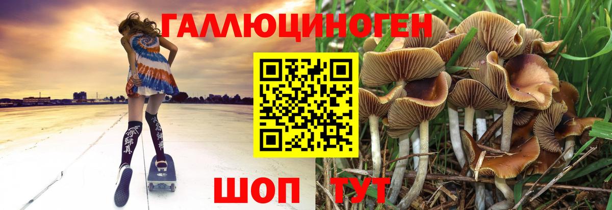 Мытищи  Псилоцибиновые грибы MAGIC MUSHROOMS  даркнет сайт  Вход с VPN 
